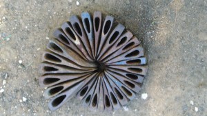 Axed - Roger McKindley